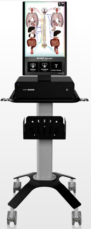 ENF STUDIO SYSTEMIC